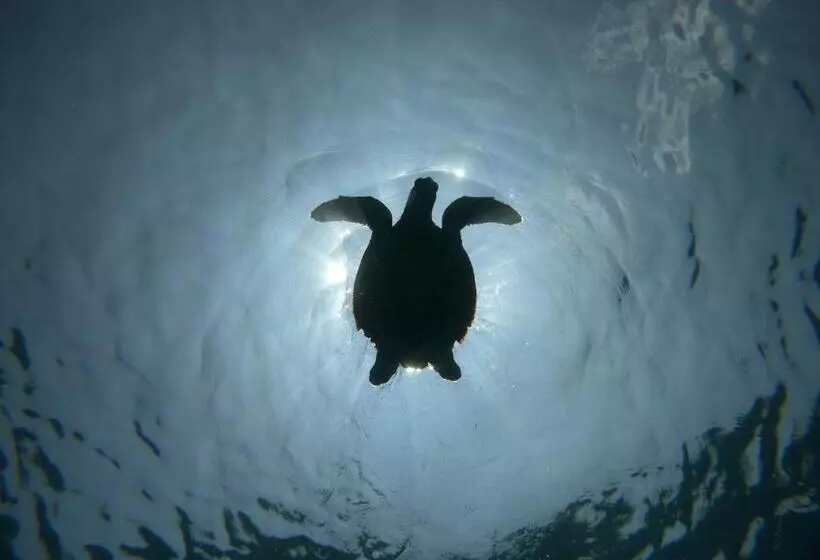 هتل Acqua Blu Rasdhoo