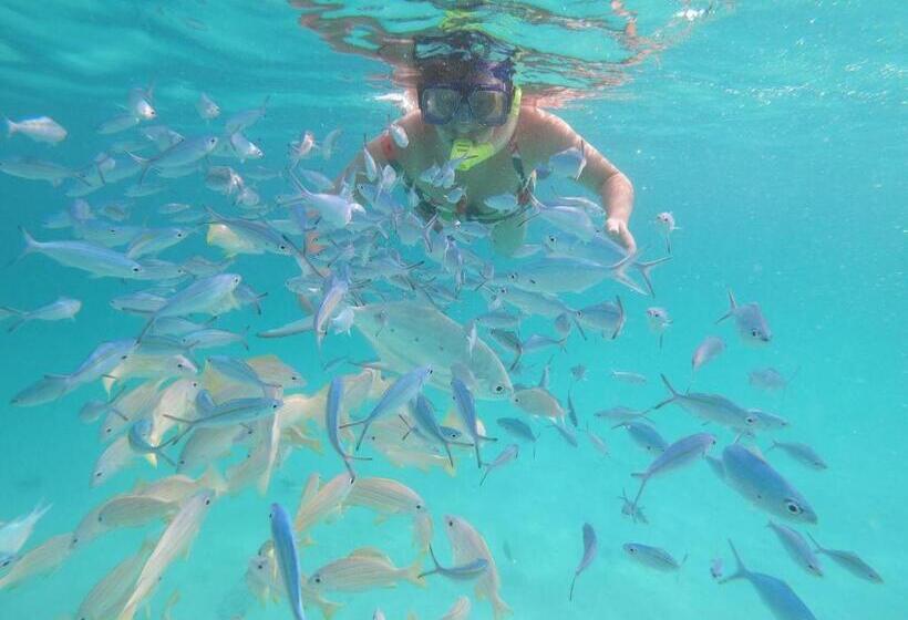 هتل Acqua Blu Rasdhoo