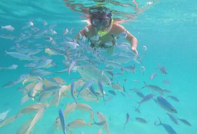 هتل Acqua Blu Rasdhoo