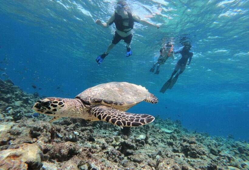 هتل Acqua Blu Rasdhoo