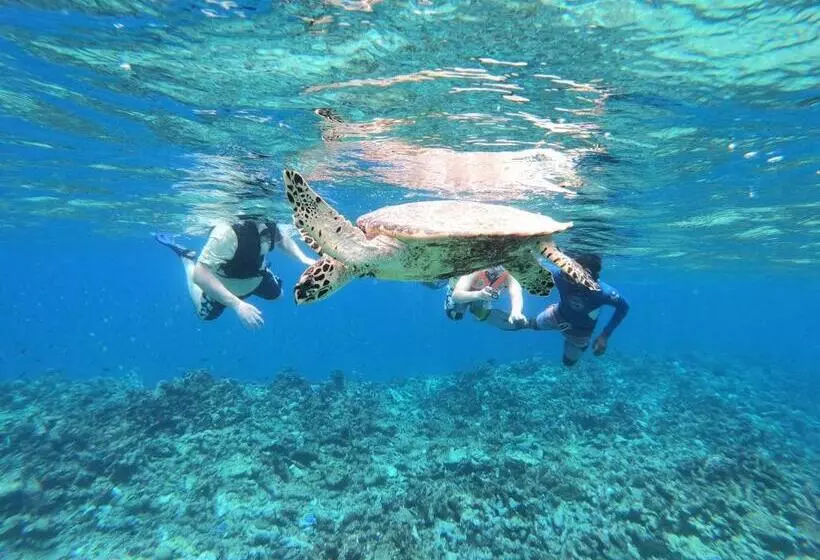 هتل Acqua Blu Rasdhoo