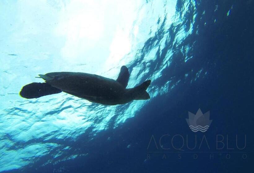 هتل Acqua Blu Rasdhoo