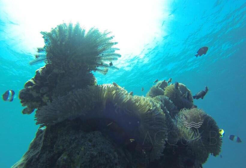 هتل Acqua Blu Rasdhoo