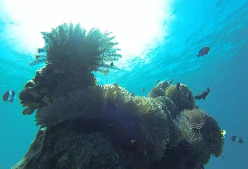 هتل Acqua Blu Rasdhoo