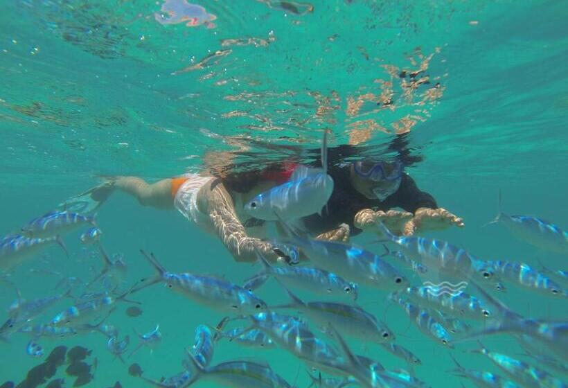 هتل Acqua Blu Rasdhoo