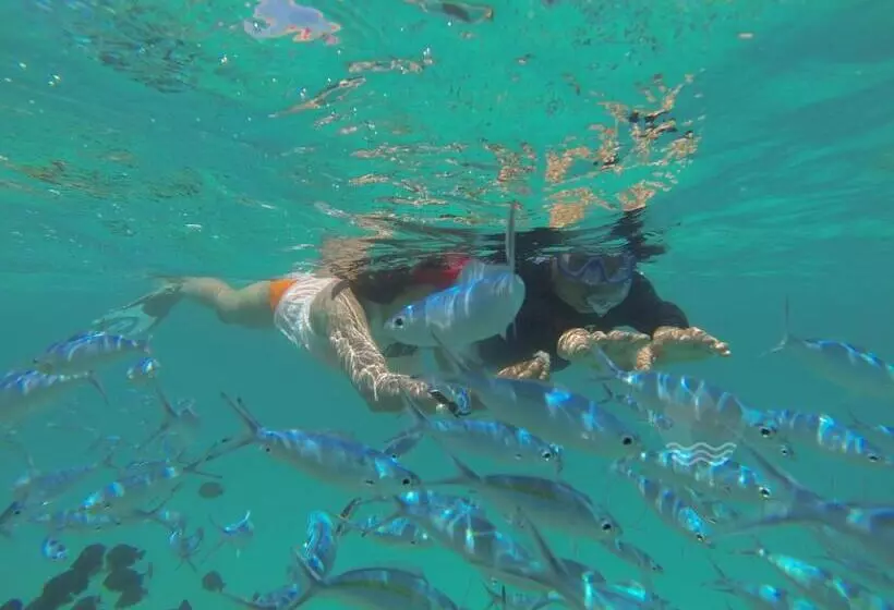 هتل Acqua Blu Rasdhoo