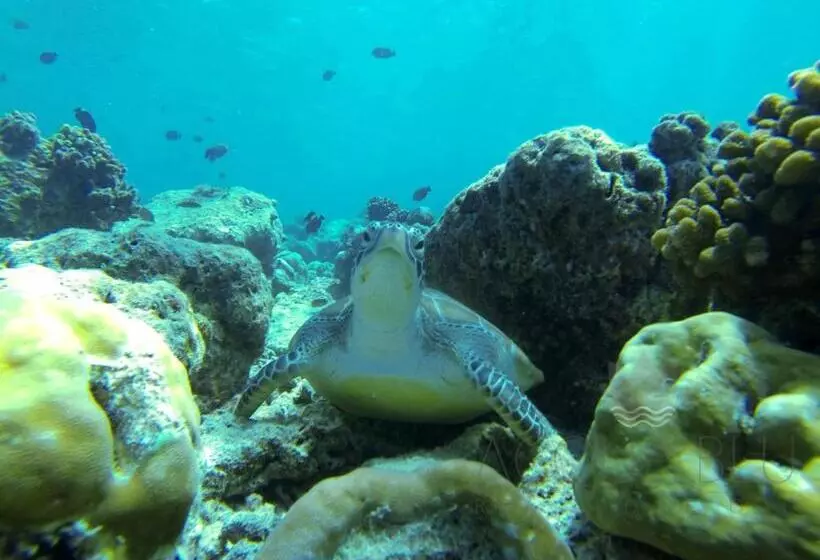 هتل Acqua Blu Rasdhoo