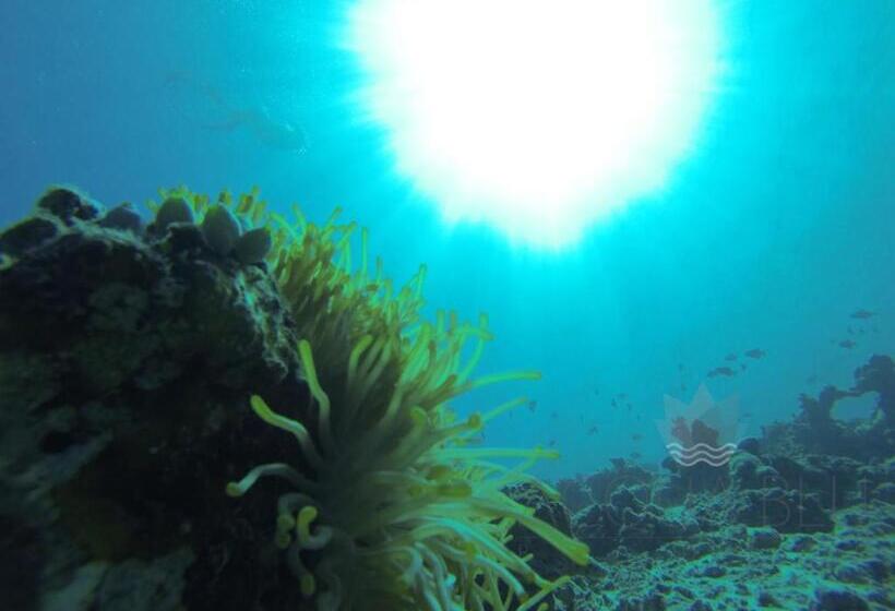 هتل Acqua Blu Rasdhoo