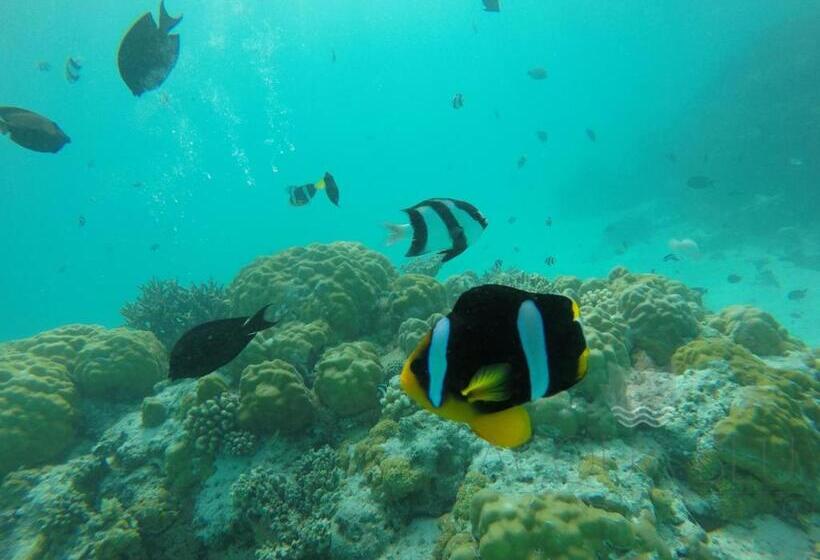 هتل Acqua Blu Rasdhoo