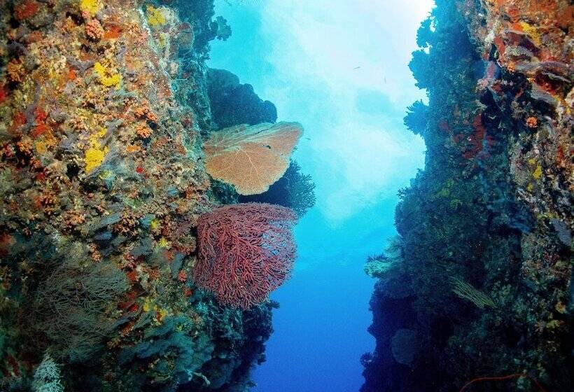 پانسیون Bliss Dhigurah