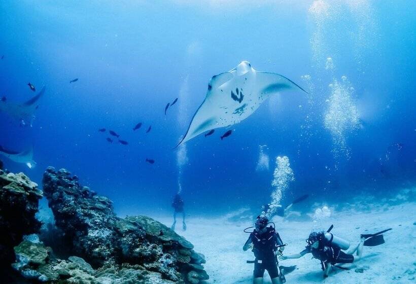 پانسیون Bliss Dhigurah