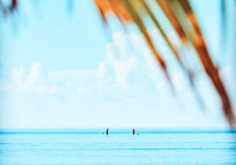 پانسیون Bliss Dhigurah