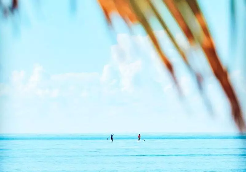 پانسیون Bliss Dhigurah