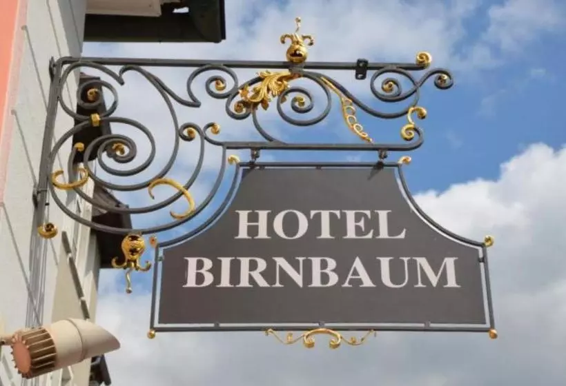 Hotel Birnbaum
