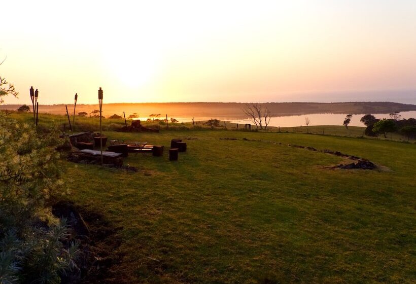 酒店 Tilba Lake House