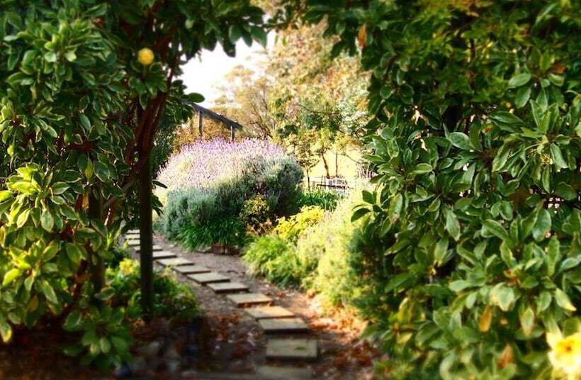 酒店 Tilba Lake House