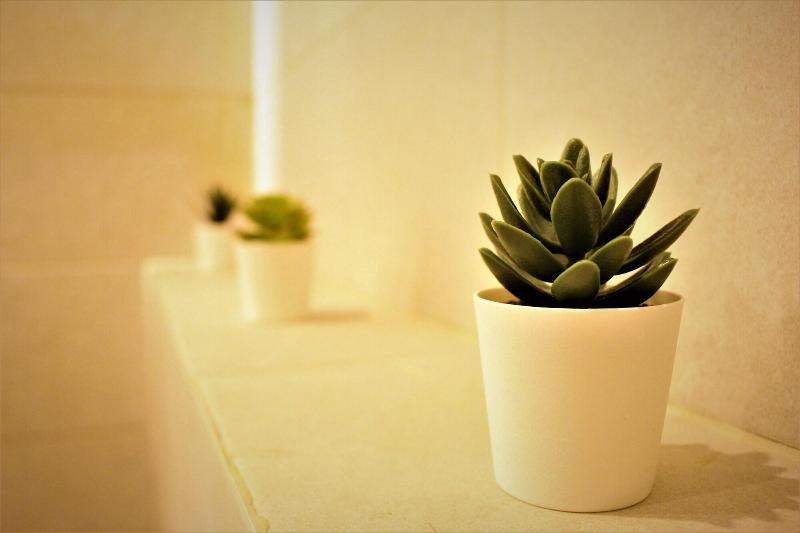 هتل New Merryland