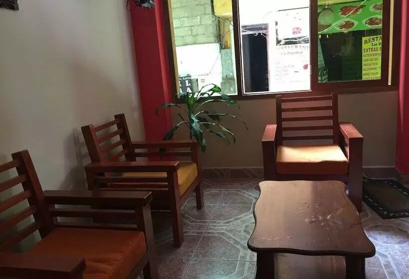 هاستل Eco Machu Picchu Pueblo