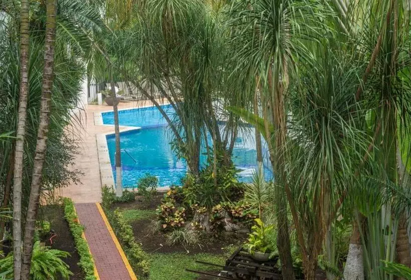 ホテル Continental Caribe Bay