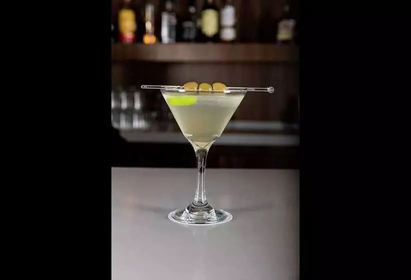 هتل Hilton Mexico City Airport