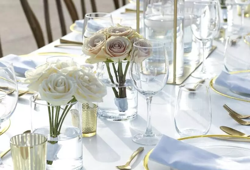 Hotelli Paradisus Los Cabos Adults Only All Inclusive