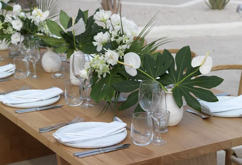 Hotel Paradisus Los Cabos Adults Only All Inclusive