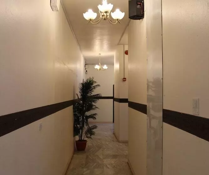 Al Eairy Furnished Apartments Al Baha 4