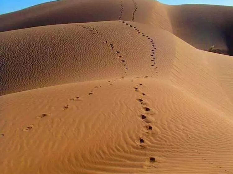 ホテル Atmospher Bivouac Desert