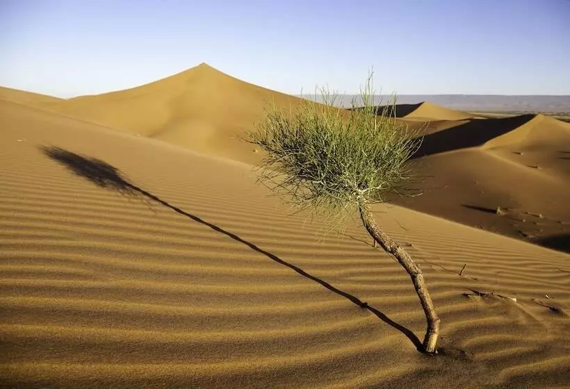 ホテル Atmospher Bivouac Desert