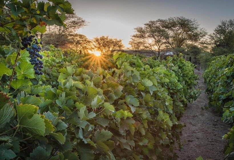 پانسیون Neuras Wine & Wildlife Estate