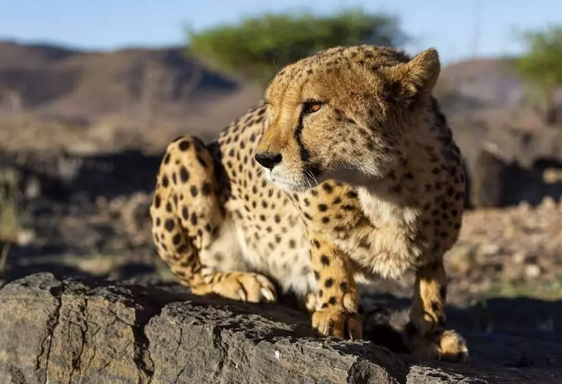 پانسیون Neuras Wine & Wildlife Estate