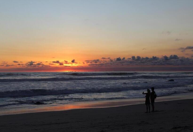 Plaza Royal Apartments