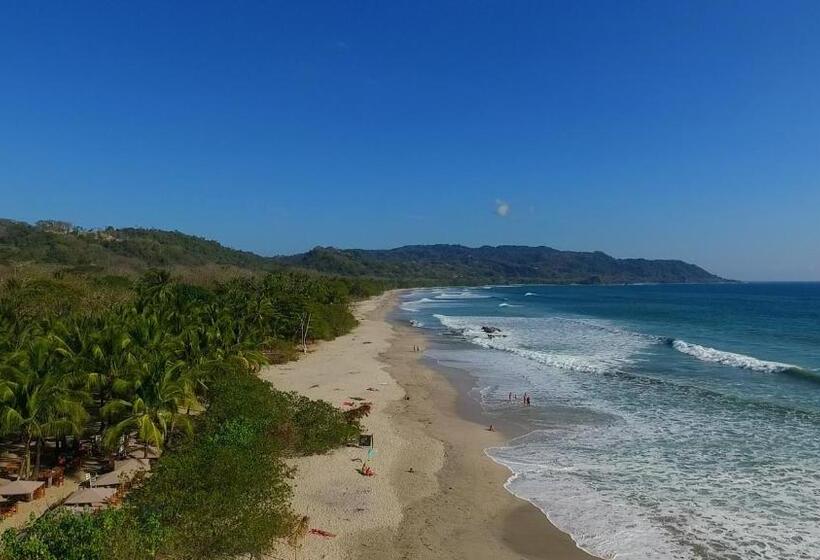 Plaza Royal Apartments