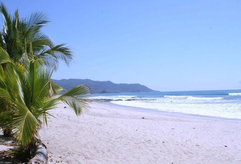 Plaza Royal Apartments