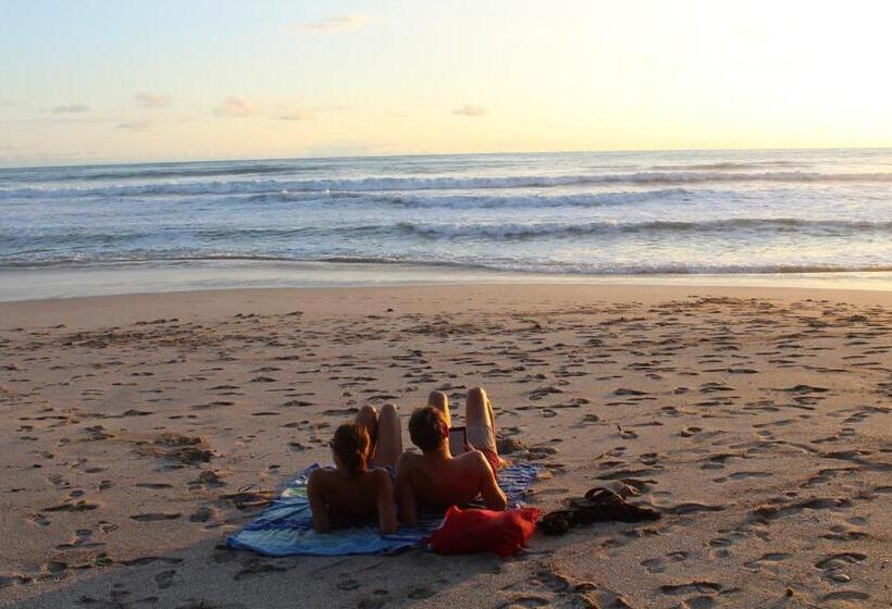 Plaza Royal Apartments