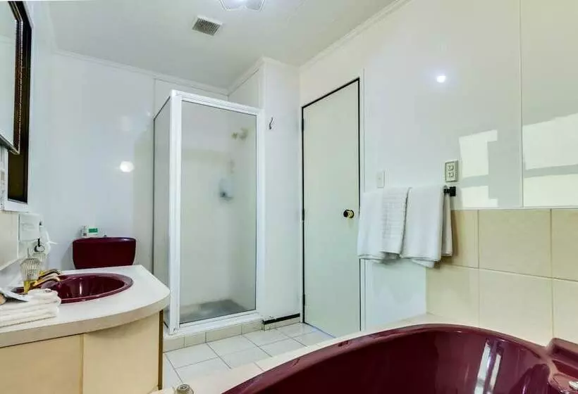 فندق Ace High Motor Inn