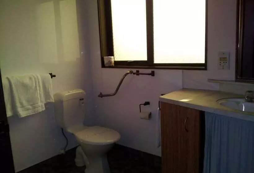 فندق Ace High Motor Inn