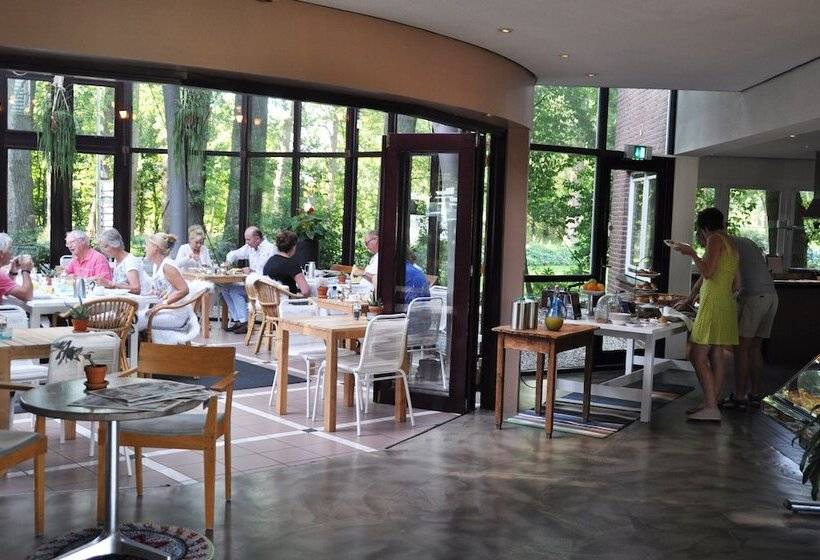 Отель Droste's Herberg