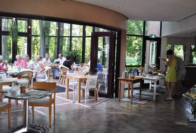 Отель Droste's Herberg