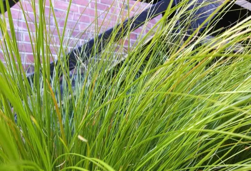 호텔 The Hibernian Studio Apartments   4 Latter Street