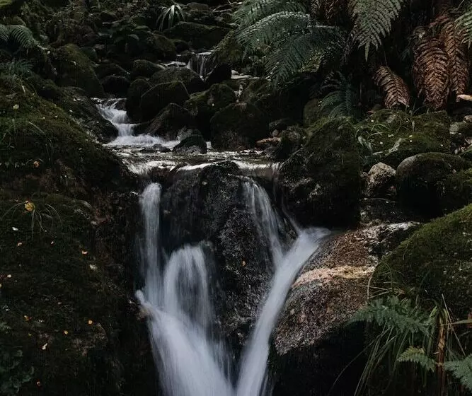 酒店 Maruia River Retreat