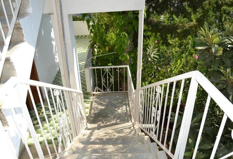 هتل Sulo Pansiyon