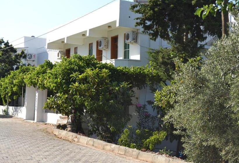 هتل Sulo Pansiyon