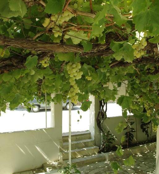 هتل Sulo Pansiyon