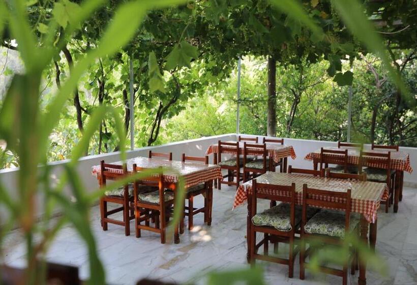 هتل Sulo Pansiyon