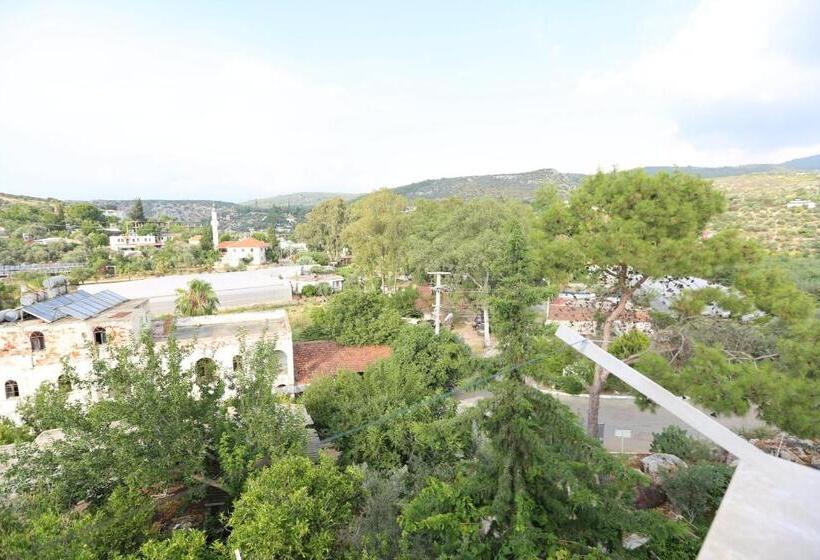 هتل Sulo Pansiyon