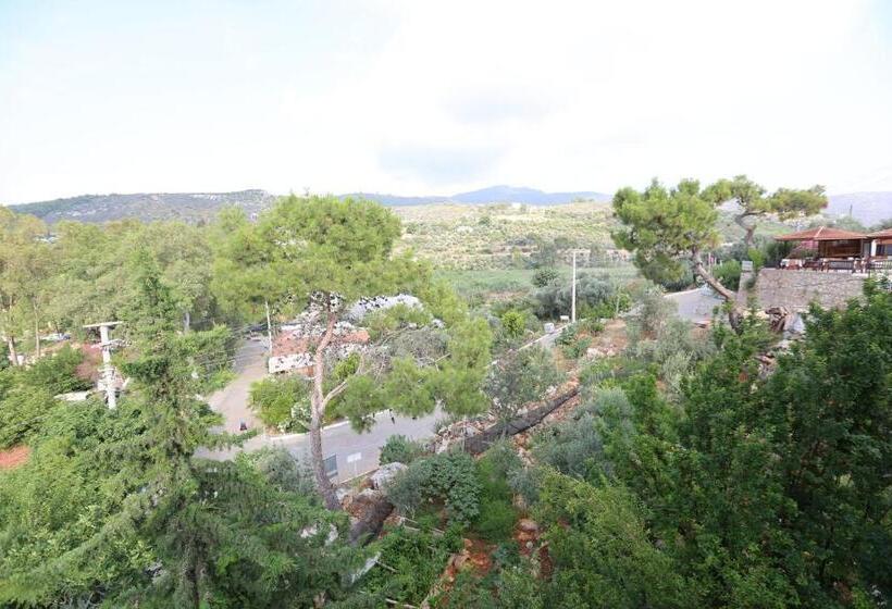 هتل Sulo Pansiyon