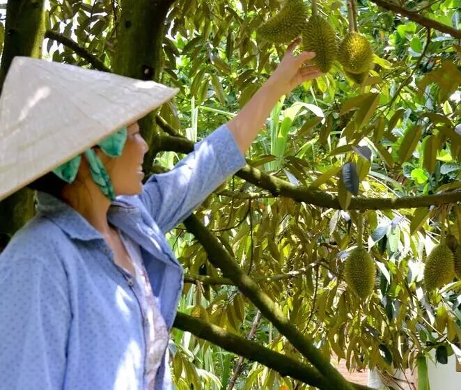 هتل The Durian Lodge At Mekong