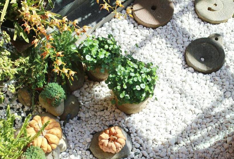 Lijiang Sunshine Nali Inn