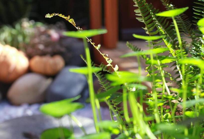 Lijiang Sunshine Nali Inn